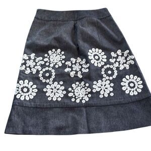 Beautiful Ann Taylor skirt chambray. Size 0.